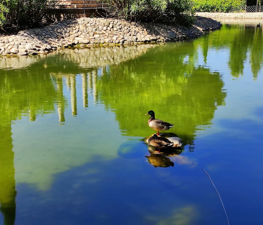 Parque García Lorca 3