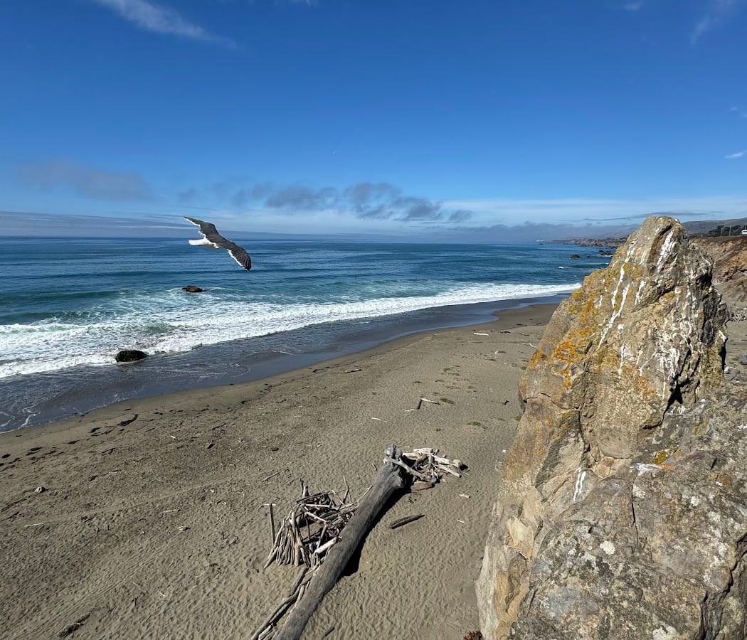 Salmon Creek State Beach 3