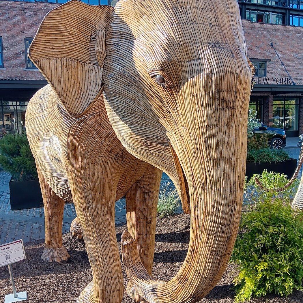 The Great Elephant Migration: A Coexistence Story 5