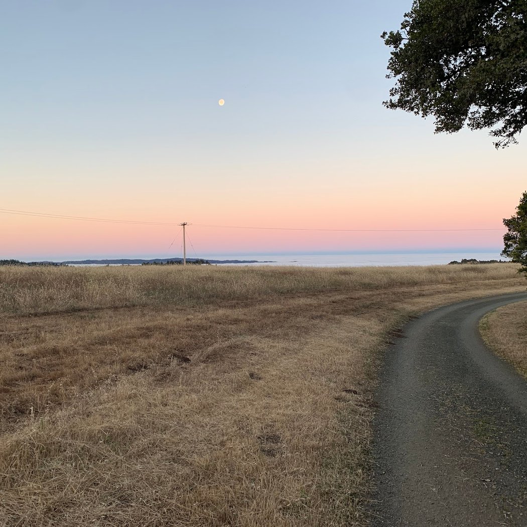 Black Mountain Backpack Camp 3