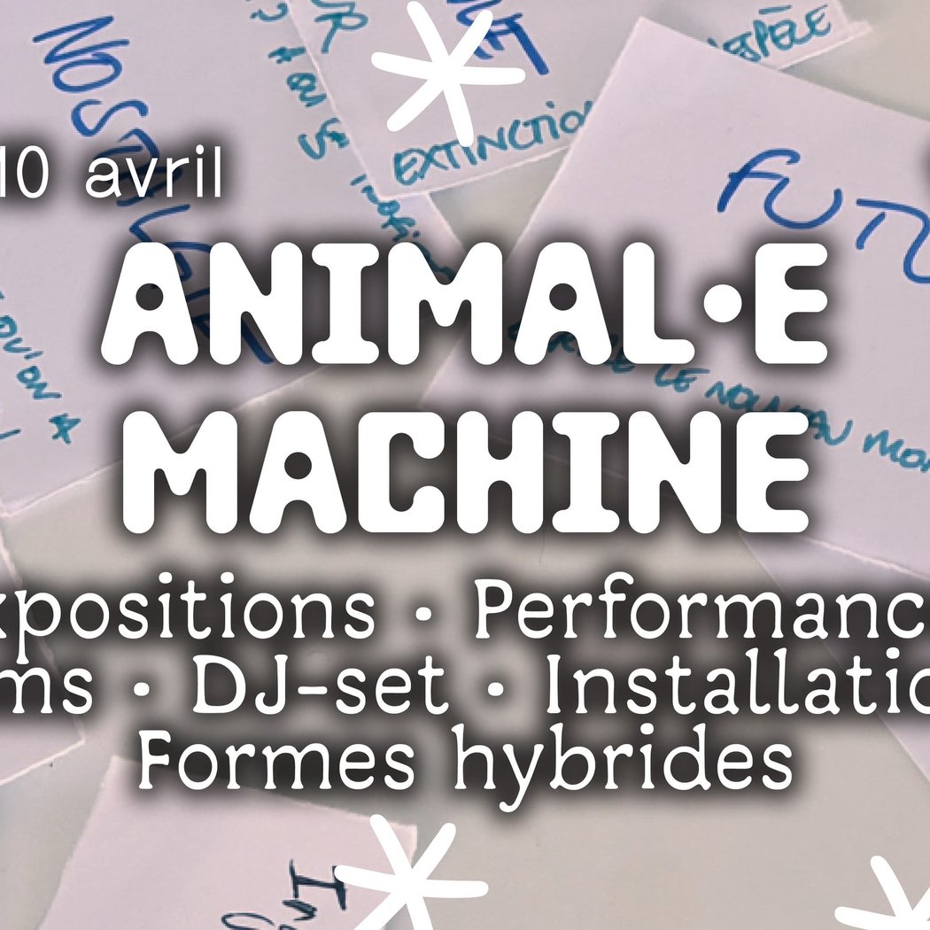 Animal.e Machine 1