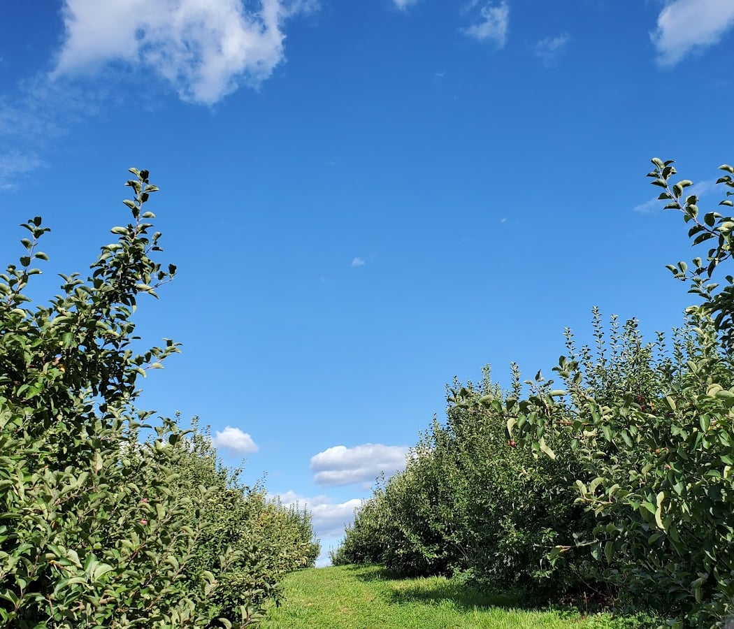 Pennings Orchard 2