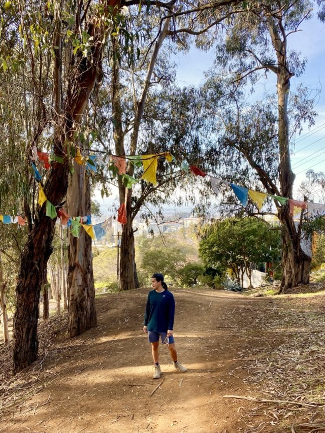 Claremont Canyon Regional Preserve 3