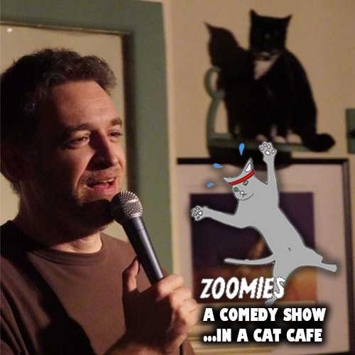 Zoomies! A Comedy Show in a Cat Cafe 1