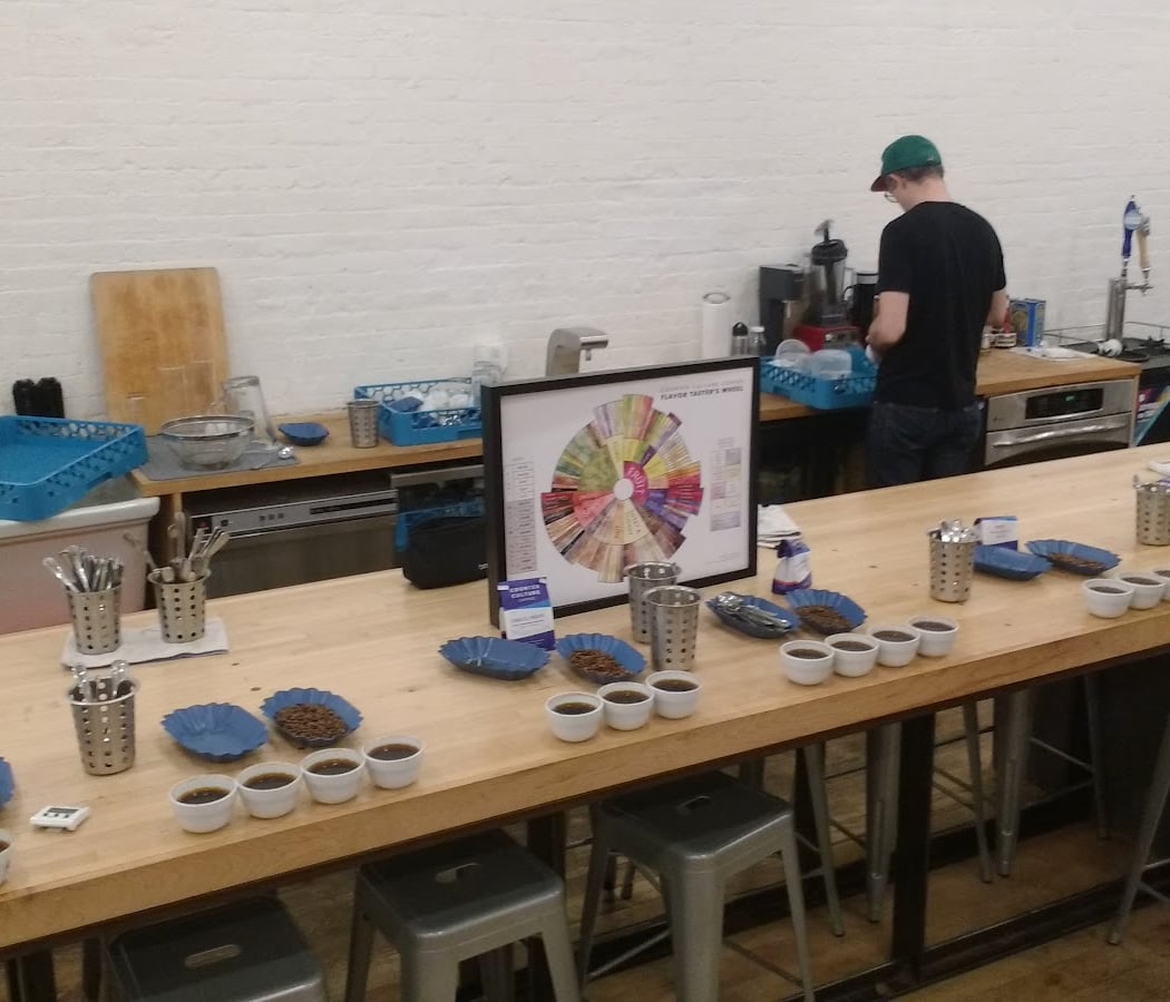 Cupping and Palate Development Workshop 3