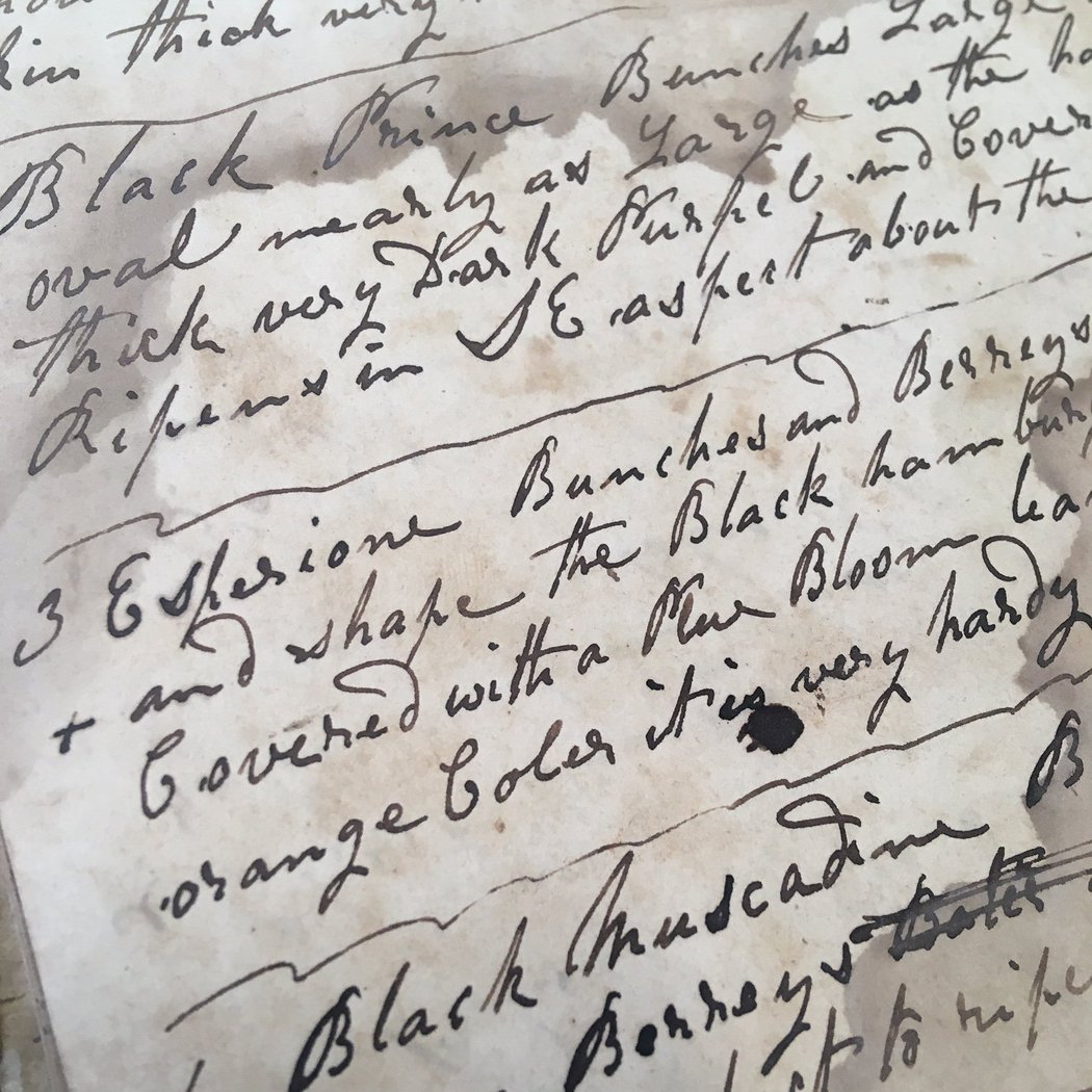 Archive Workshop: The Life of a Newburgh Farmer: The Diary of Solomon Watts