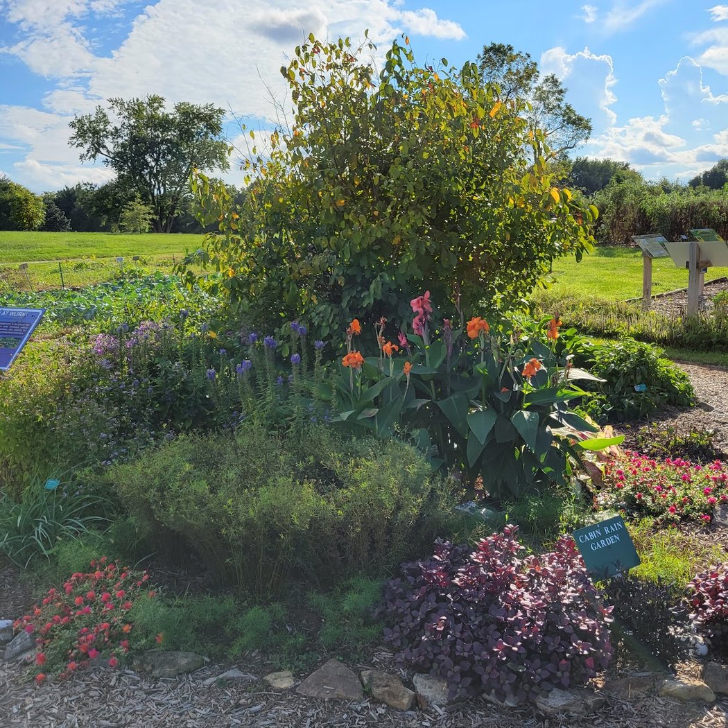 SWIMGA Display Garden 3