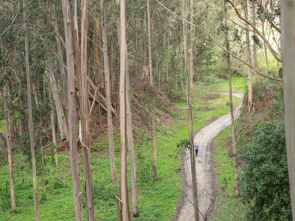 Quarry Park 2