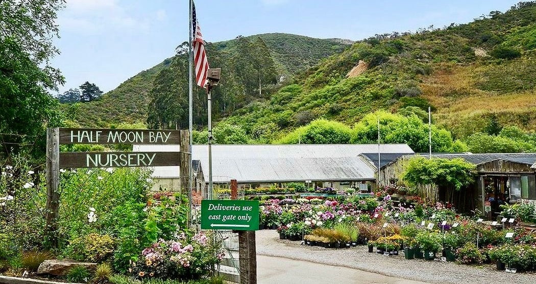 Half Moon Bay - Nursery 3