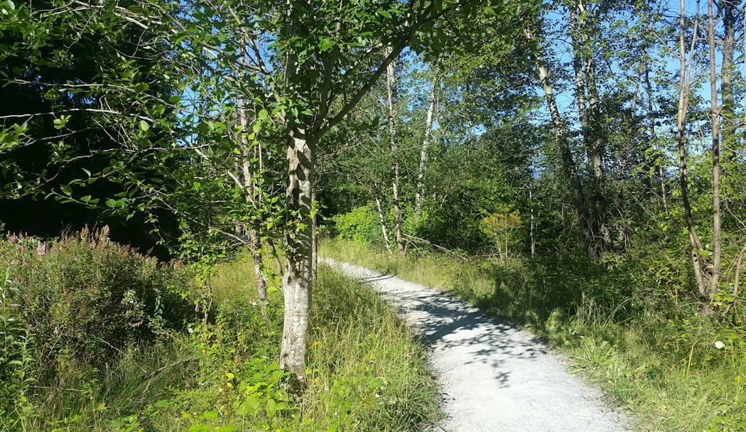 Sunnyside Trailhead 3