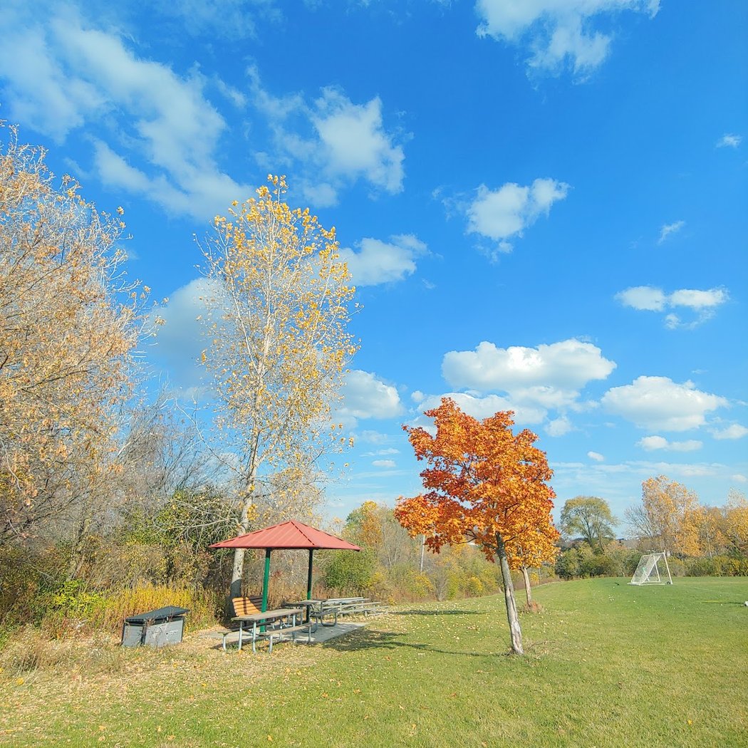 Olson Dog Park 3