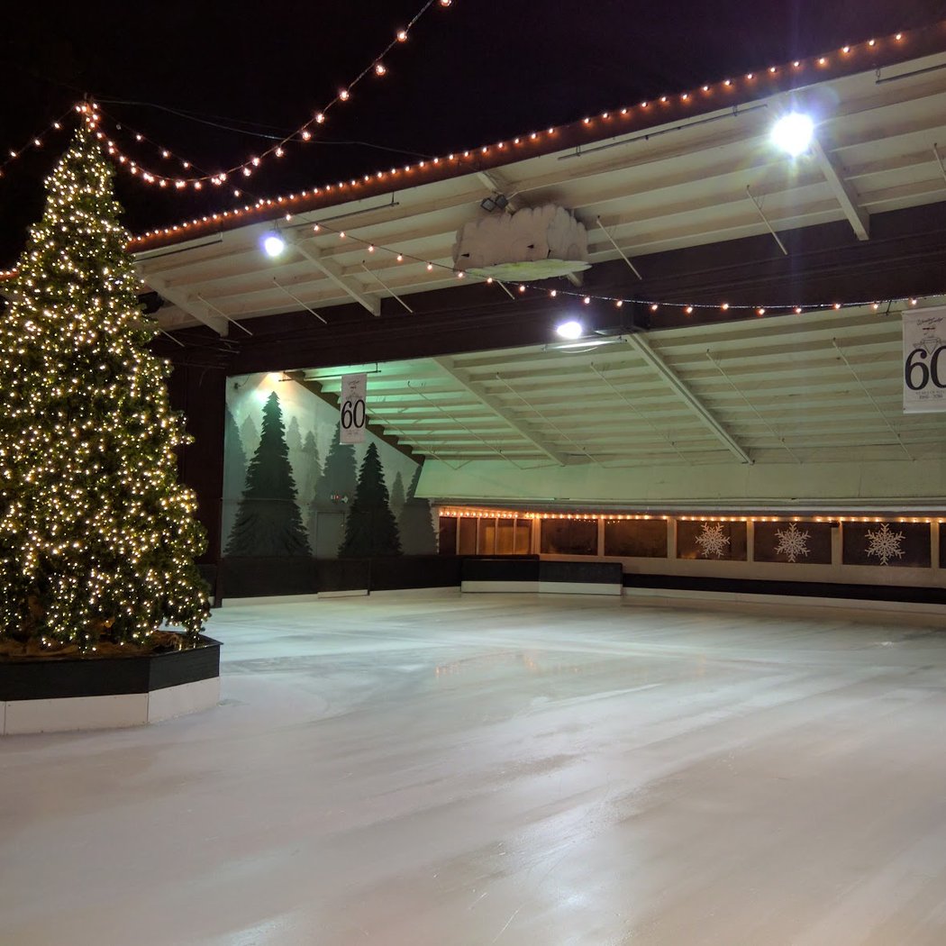 Winter Lodge 3