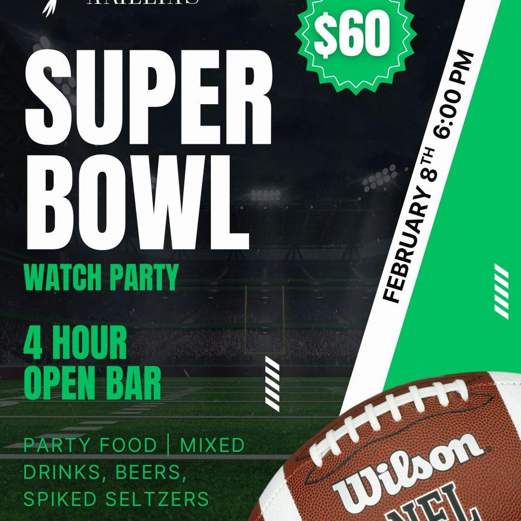 Super Bowl 2026 Watch Party 1