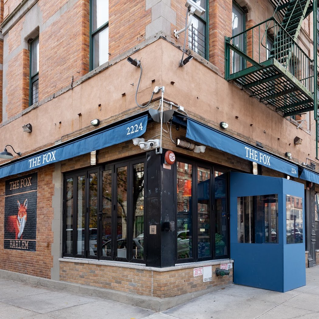 The Fox Harlem 3