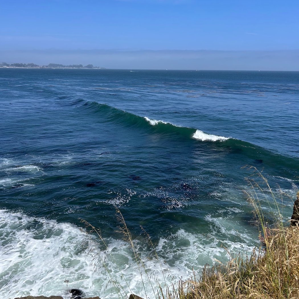 "To Honor Surfing" Statue 3