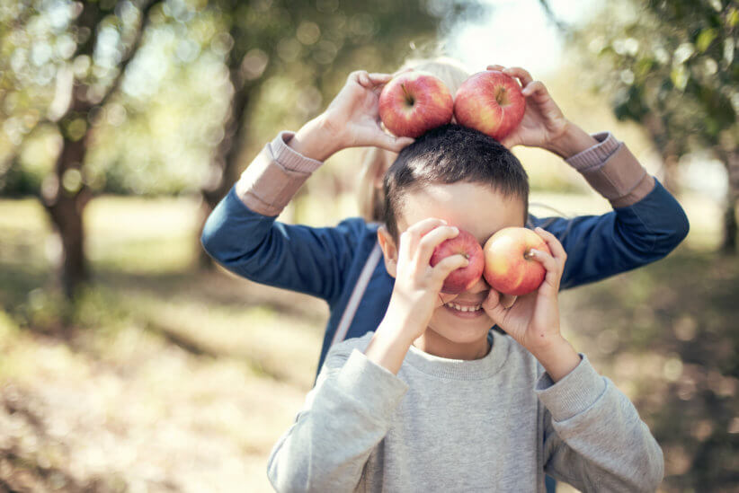 Lewin Farms Apple Picking 1