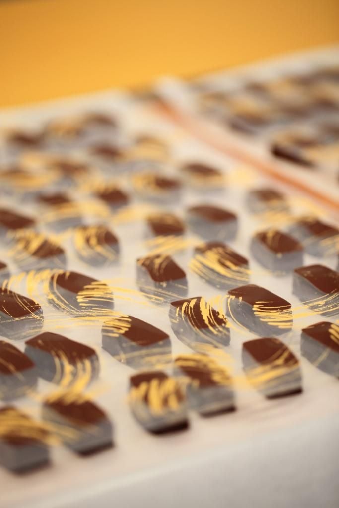 Castan Chocolatier - Maître artisan chocolatier 3