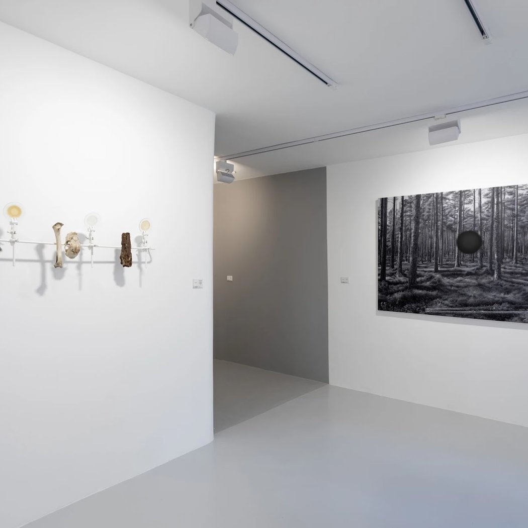 Le Clézio Gallery 3
