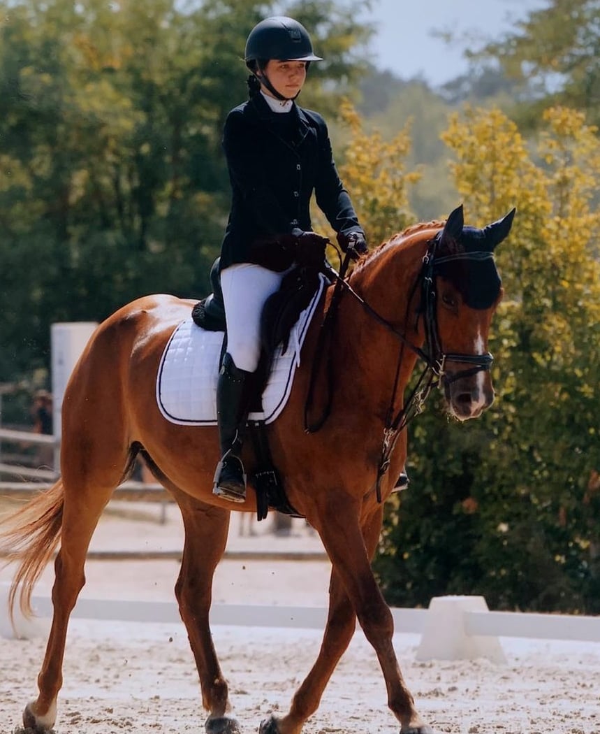 Concours equitation 1