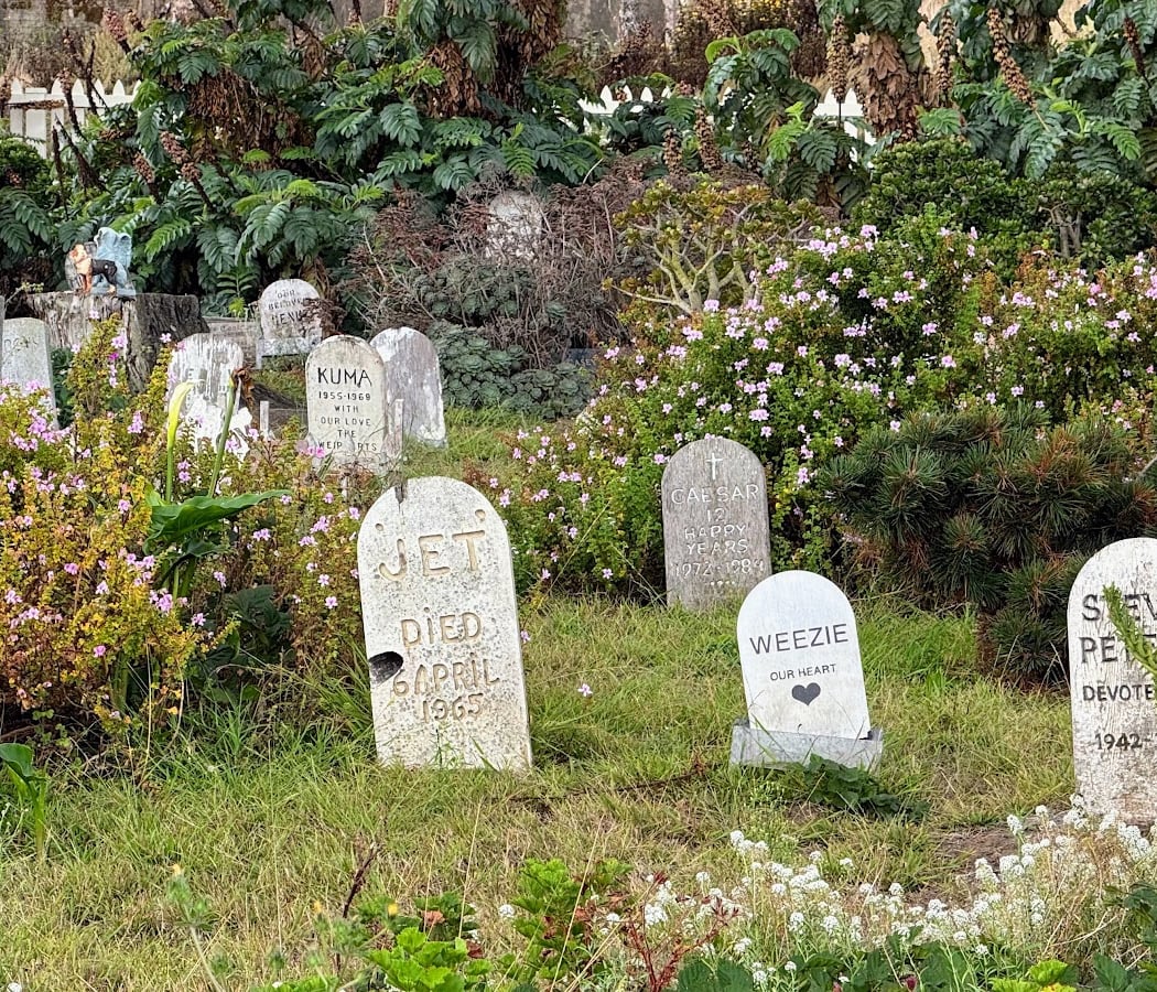 Presidio Pet Cemetery 3