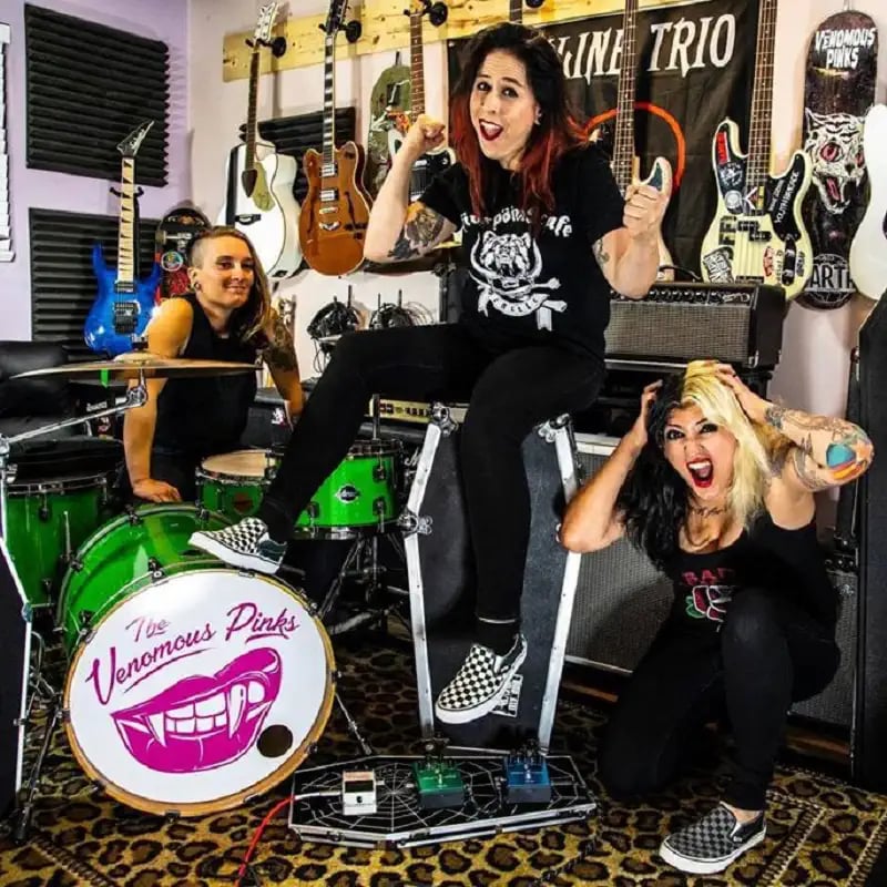 The Venomous Pinks concert 1
