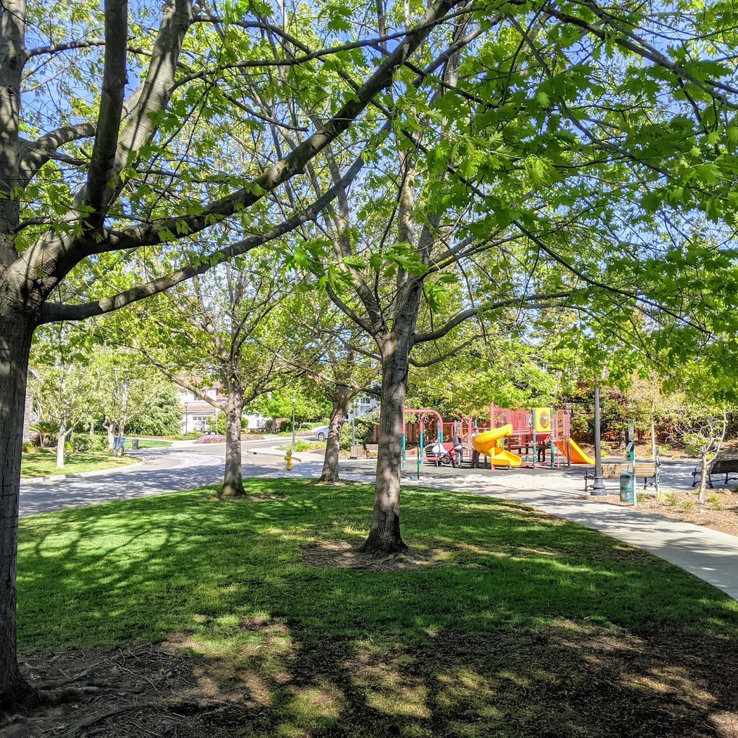Bellgrove Park 2