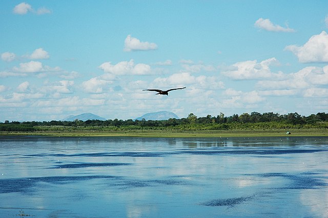 Birdwatching Walk 1