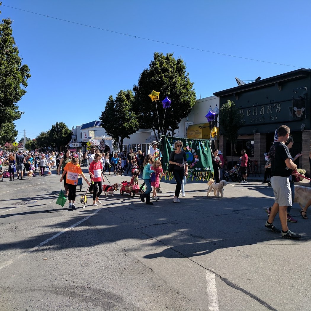 Burlingame Pet Parade 3
