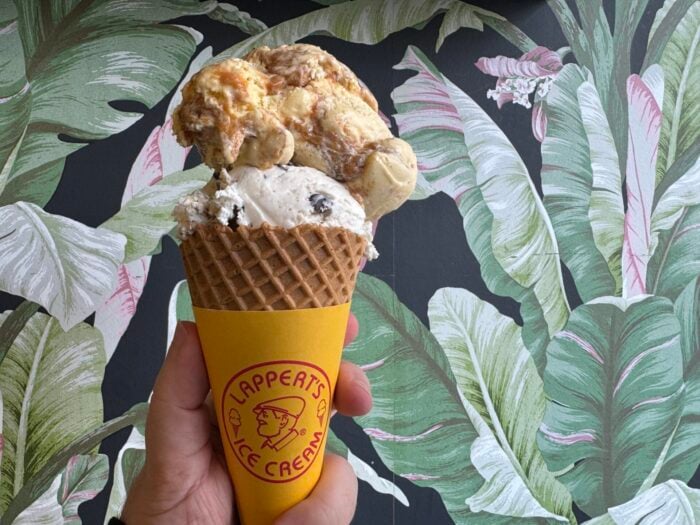 Lappert's Ice Cream 1