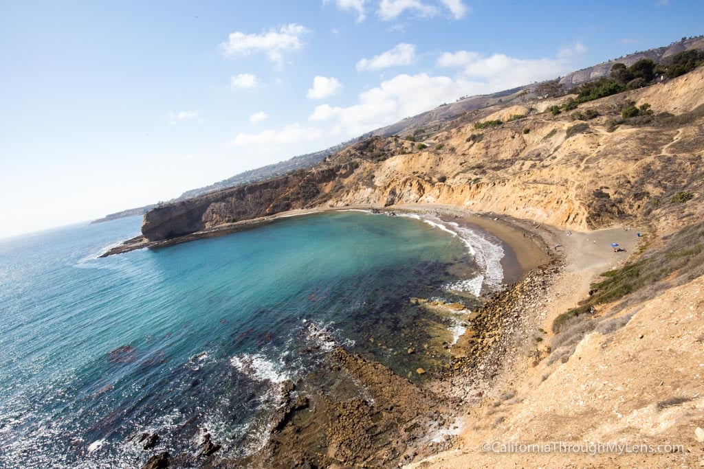 Abalone Cove Reserve Guided Walk 2