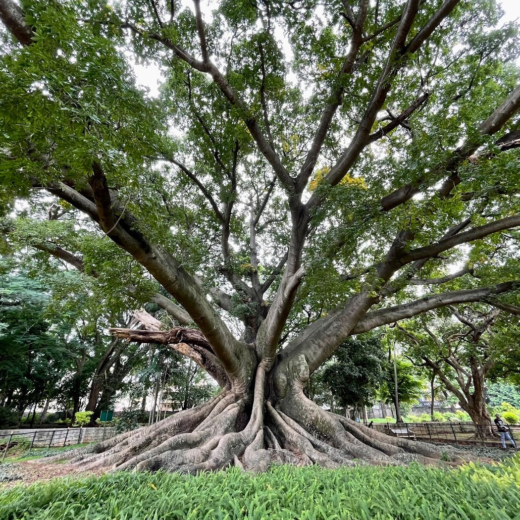 Lalbagh Heritage Trail 3