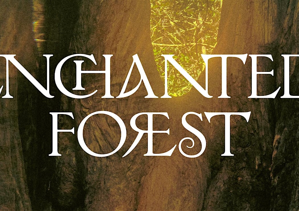Atmos Presents Enchanted Forest