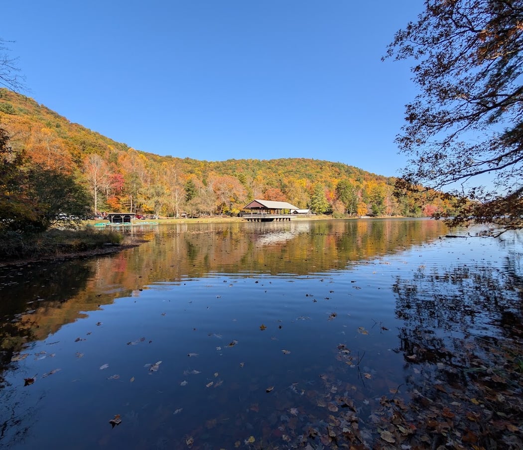 Vogel State Park 1