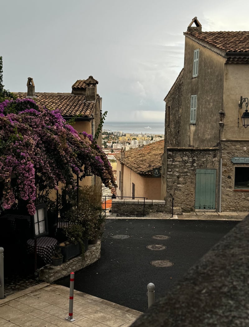 Château-musée Grimaldi 3