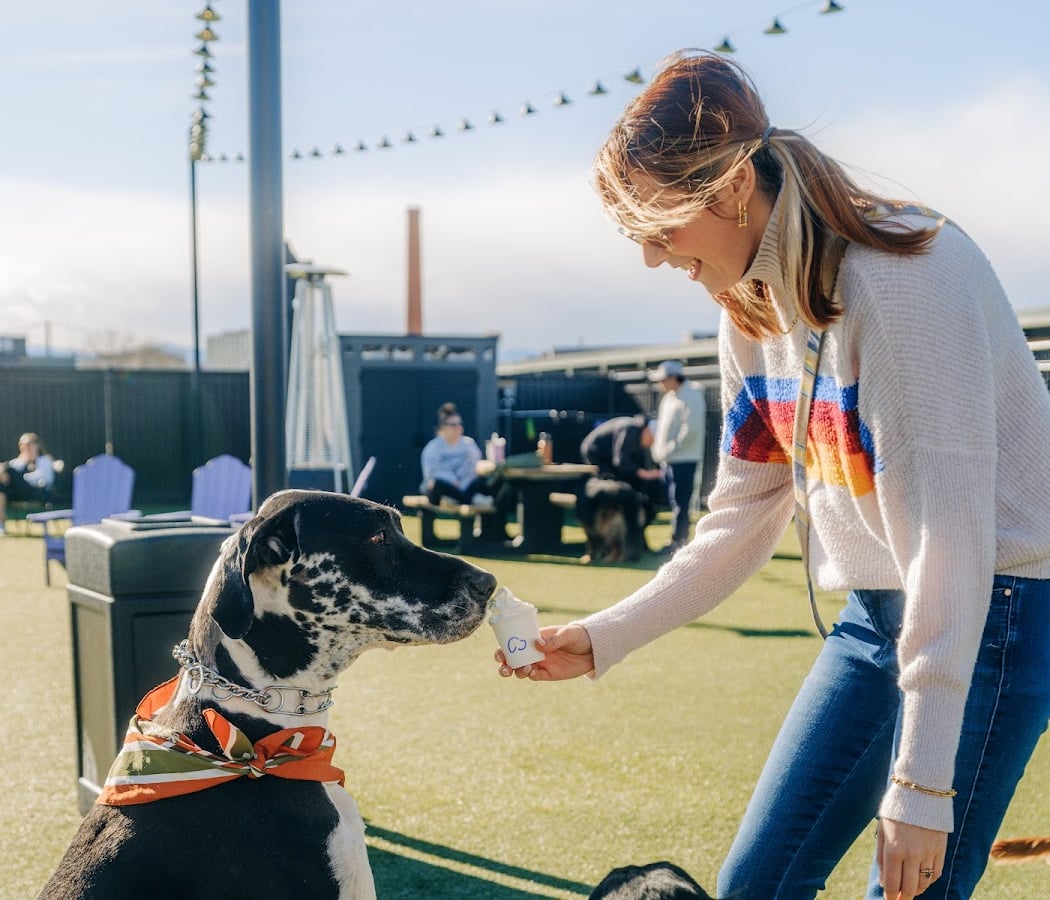 Back to School Yappy Hour 1