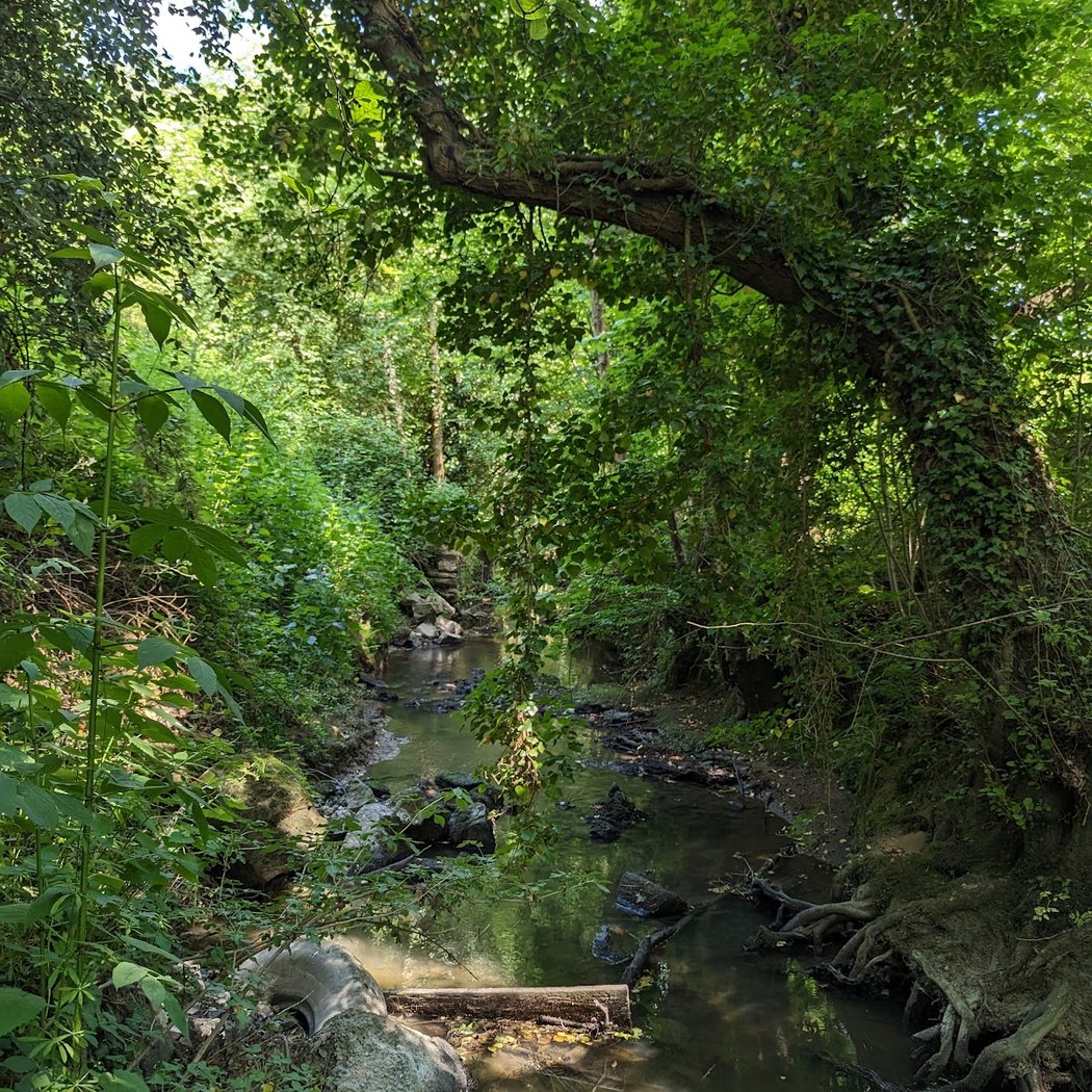 Val de la Chézine 3