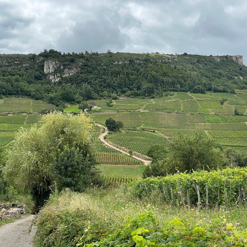 Rock of Solutré 2
