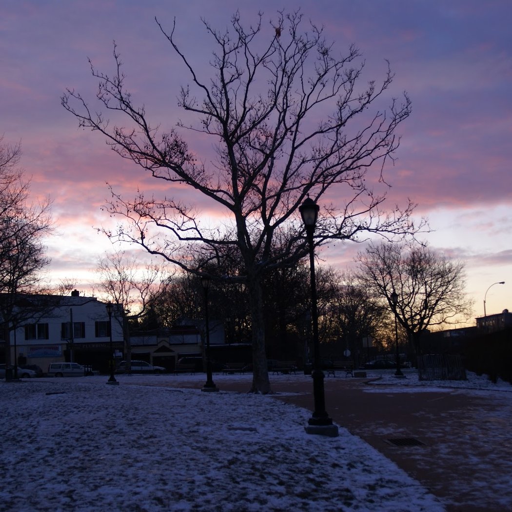 Detective Joseph Mayrose Park 2