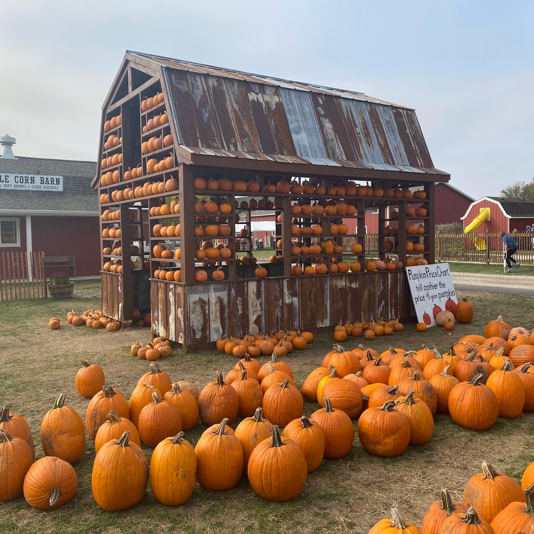Jonamac Orchard 2