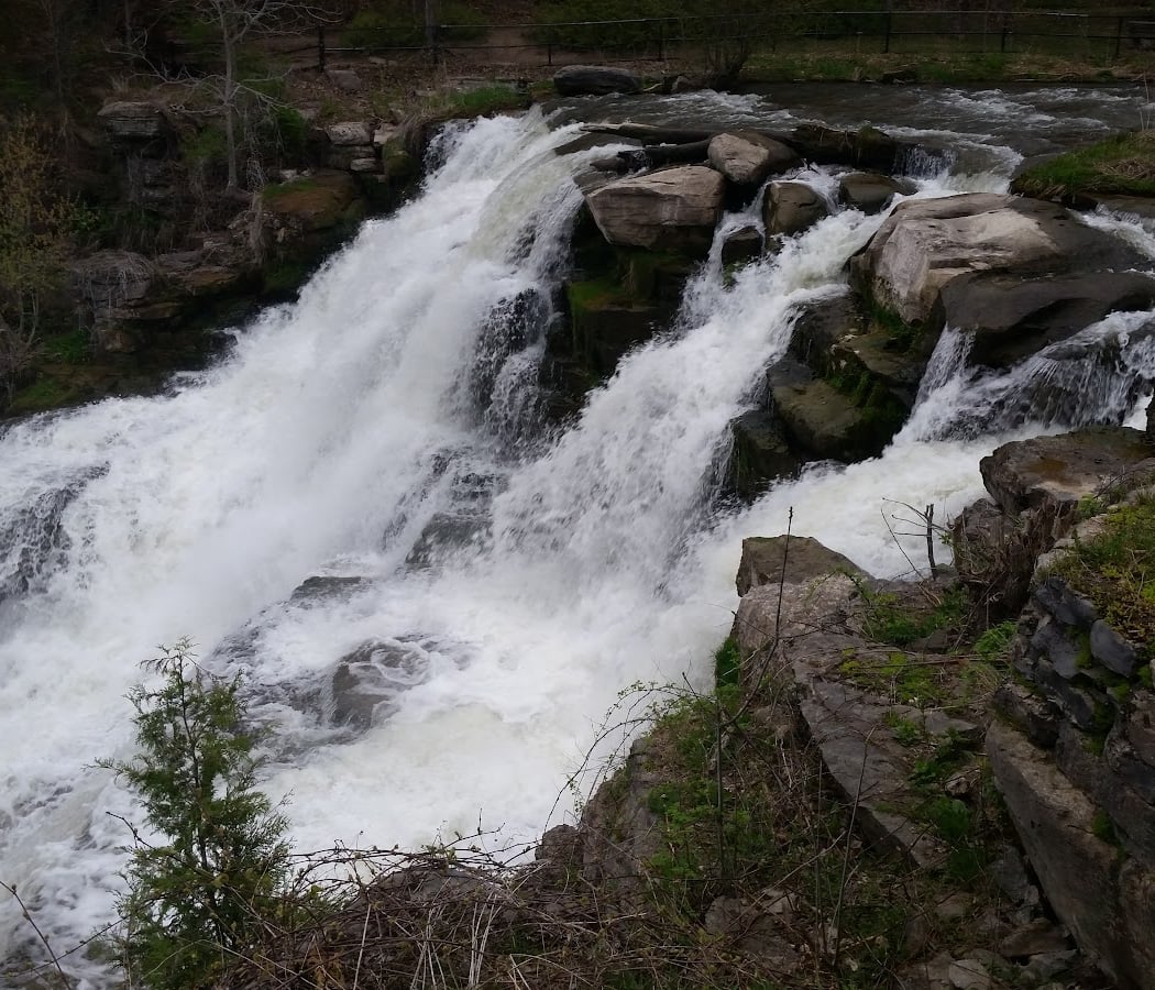 Chittenango Falls State Park 5