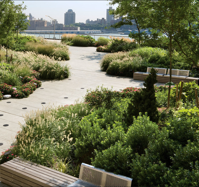 Roselinda Garden (Public Space) 1