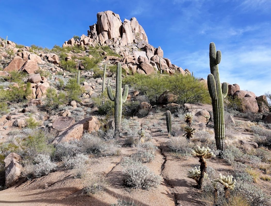 Sunrise Hike at Pinnacle Peak 3