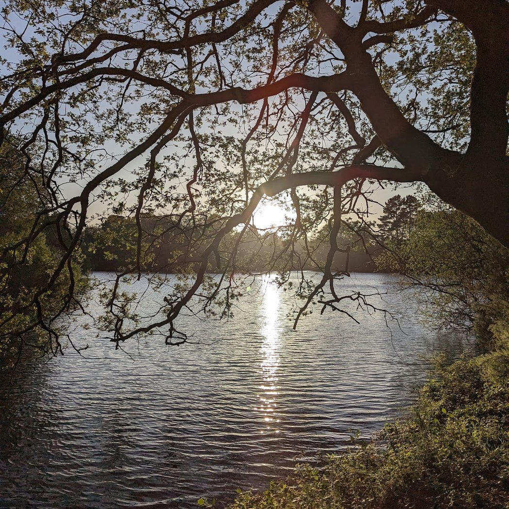 Les Aventuriers du Lac