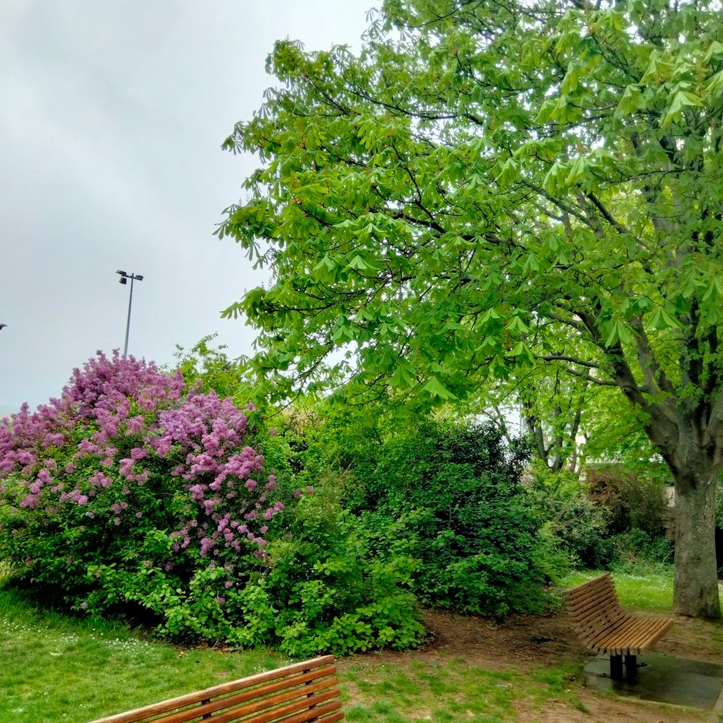 Parc des Bruyères 1