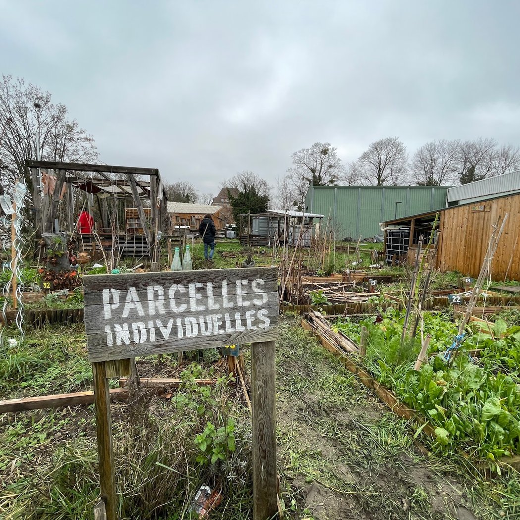 Prendre soin de la forêt-jardin 4