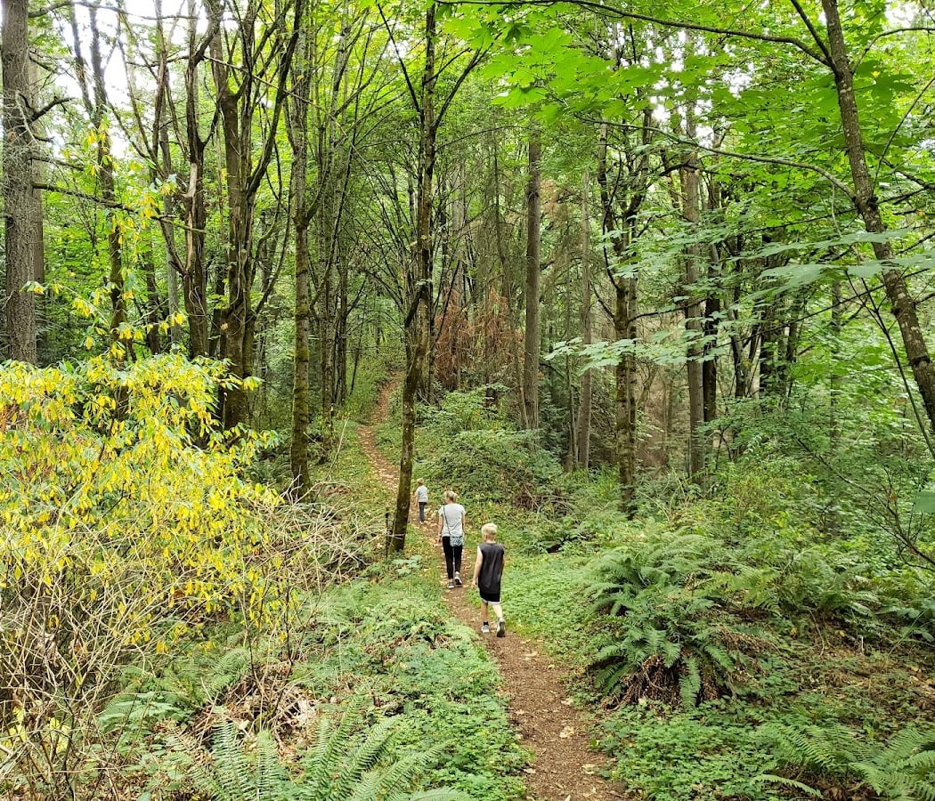 Shelton View Forest - 7th Ave. W. Trailhead 2