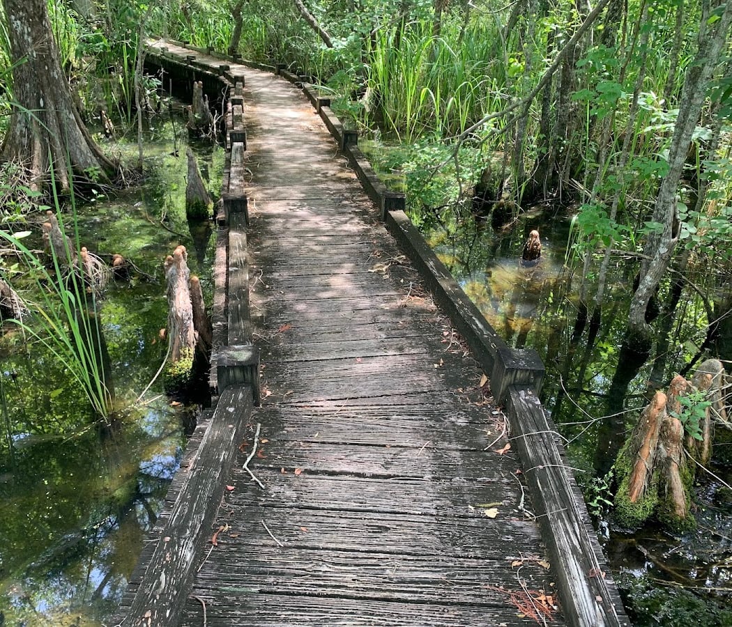 Old Santee Canal Park 3