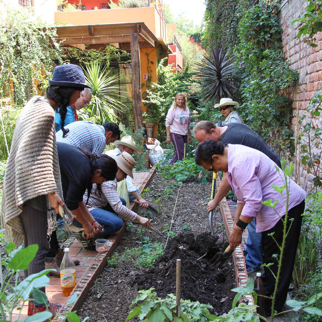 Vegetable Gardening Workshop 1