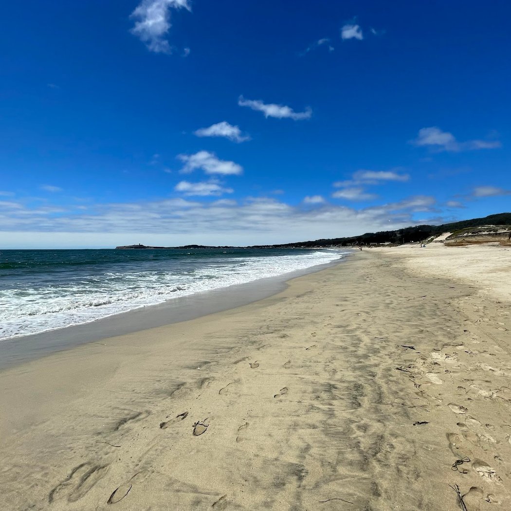 Dunes Beach - Half Moon Bay State Beach 3
