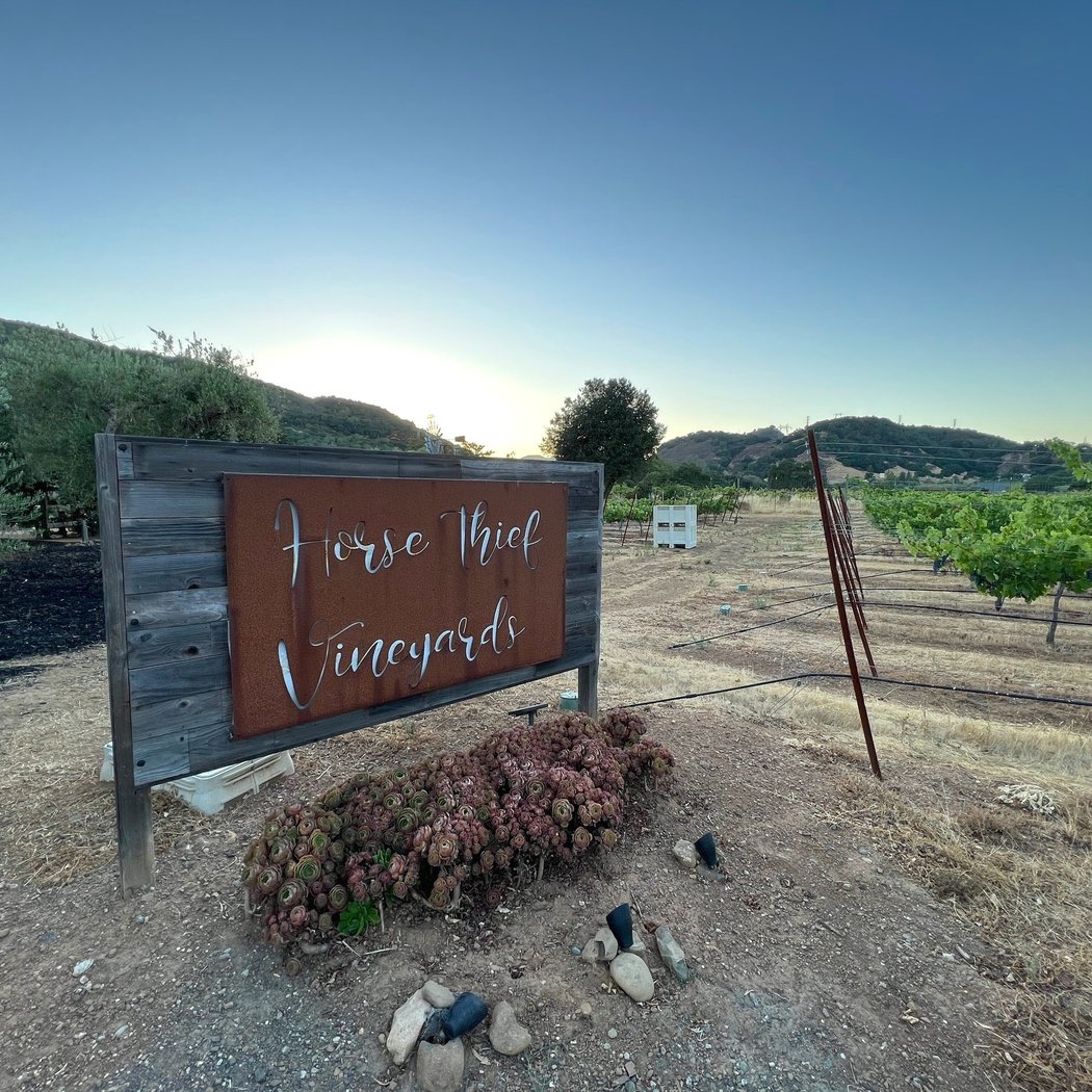 Horse Thief Vineyards 2